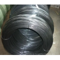 Hot Dipped Galvanized Welded Wire Mesh Roll